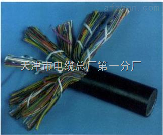 天津市電纜總廠第一分廠 專業(yè)打造礦用通信電纜，保障井下配線與用戶線路穩(wěn)定可靠